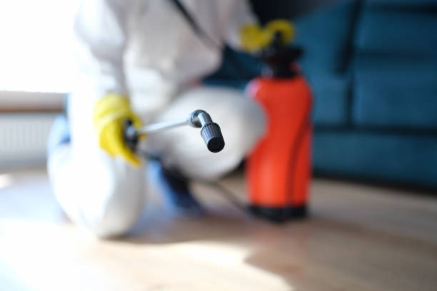Asbestos and Lead Testing During Mold Inspection in Labarque Creek, MO